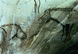 馬、黒い部屋の岩絵、マグダレニアン (洞窟壁画) 作： Paleolithic Paleolithic