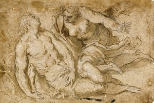 死んだアドニスを発見する金星（紙に黒いチョーク、ペン、茶色のインク）