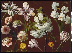 紫色のチューリップ、白い花の咲くサクラ、水仙、ピンクの菊（紙に油を塗る） 作： Pancrace Bessa
