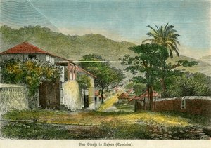 ドミニカ国ロゾーの通り、1880年頃。 作： Pann