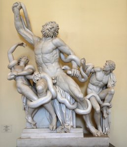 「ラクーン」、1789年。 作： Paolo Andrea Triscornia