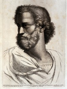 アリスト 作： Paolo Fidanza