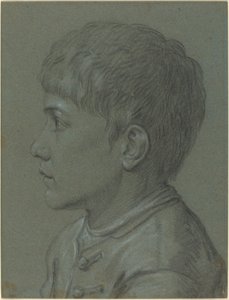 少年の頭 作： Paolo Farinati