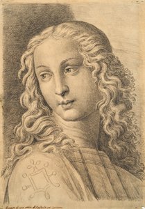 女性の頭、ラファエロ後の42の頭の研究から 作： Paolo Fidanza