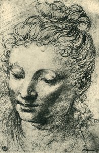 見下ろす女性の頭、16世紀半ば、1943年。 作： Paolo Veronese