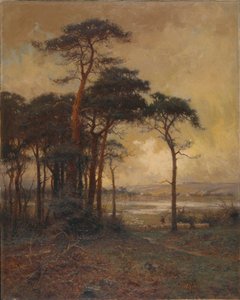 「荒野から湿原へ」、1879-1934 作： Parker Hagarty