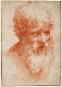 ひげを生やした男の頭部、右を向いている 1523-25年頃 （紙に赤チョーク） 作： Parmigianino (1503 40)