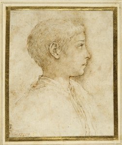 右横顔の少年の胸像（白紙にペンと茶インク 作： Parmigianino