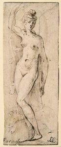 女性像 - パルマのサンタ・マリア・デッラ・ステッカータのための習作 (直腸) 作： Parmigianino