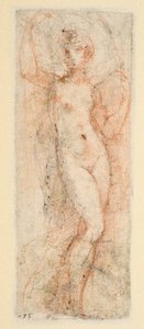 女性像 - Steccata の習作 (裏面) 作： Parmigianino