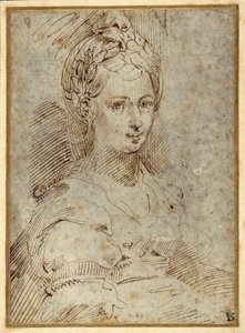 座っている女性の半身（紙にペンとインク 作： Parmigianino