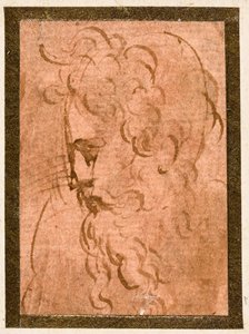 男性の頭 作： Parmigianino