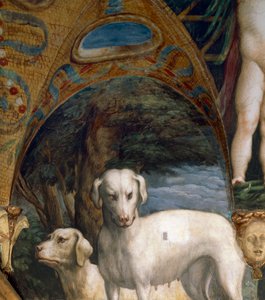 パルミジャニーノ（1503-1540）ことフランチェスコ・マッツォーラ作「ディアナとアクタイオンの神話」の詳細、イタリア、パルマ近郊フォンタネラートのサンヴィターレ岩窟の「ディアナとアクタイオンの間」の北側にあるフレスコ画、1524年頃