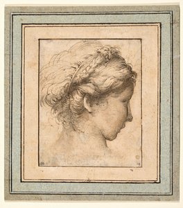 右側を見ている女の子の横顔の頭 作： Parmigianino