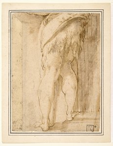 洗礼者聖ヨハネの脚の習作 作： Parmigianino