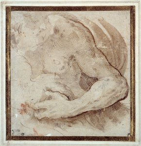 髭を生やした男性の左腕、胸、頭の習作（クリーム色の紙に赤チョーク、ペンと茶色のインク 作： Parmigianino