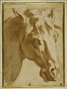 馬の頭と首（クリーム色の紙にペンと茶色のインクと水彩）。 作： Parmigianino