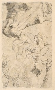馬の頭部の 2 つの習作 (フラグメント) (裏面) 作： Parmigianino