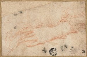 左手と手首のスケッチ 作： Parmigianino