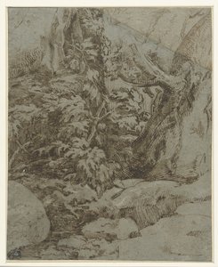 風景の研究 作： Parmigianino
