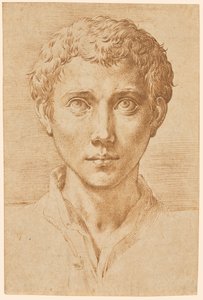 若者の頭 作： Parmigianino