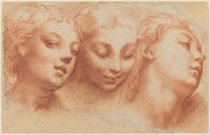 3 つの女性の頭 作： Parmigianino