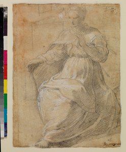 distaffを保持している女性 作： Parmigianino
