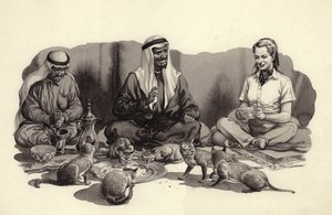 猫に餌をやるアラブ人（ガッシュ、紙） 作： Pat (1907-95) Nicolle