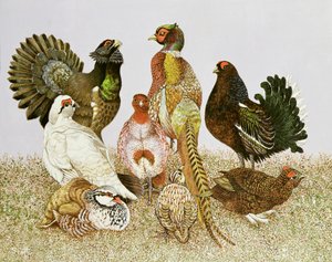 狩猟鳥類