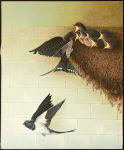 Hungry Mouths, 2011（アクリル、キャラコ） 作： パット・スコット