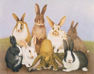 幸運のウサギ