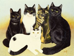 ミス・コックスの猫たち