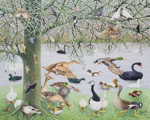 奇妙なアヒル（キャンバスにアクリル画）