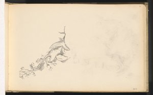 花の枝 作： Paul Cézanne