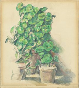 ゼラニウム 作： Paul Cézanne