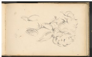 牡丹 作： Paul Cézanne
