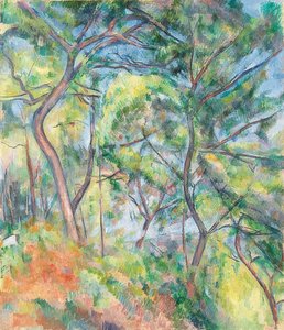 下草。 UM 1894 作： Paul Cézanne