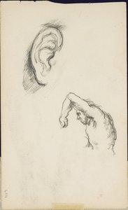 ルカ・シニョレッリ後の研究：耳と男の姿、1877年から80年頃 作： Paul Cézanne