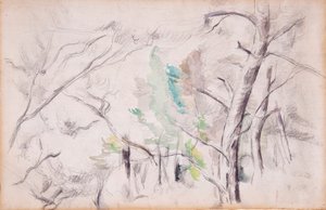 木[直角]; ピロン・デュ・ロワのアンカニャーヌ [後ろ] 作： Paul Cézanne