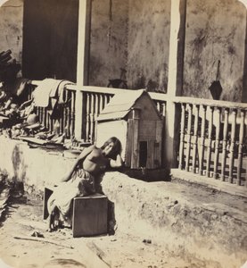ガーベル マルティニーク犬、1870 年代。 作： Paul Emile Miot