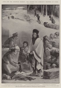 ヨーロッパ市場向けの毛皮、Hudson Bay CompanyのTrappers at Work