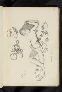 Before & After - "Decorative Person "のドローイング 作： Paul Gauguin