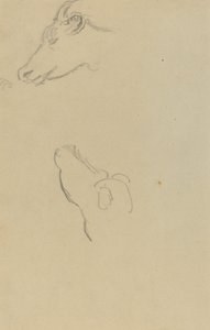 牛の頭 [右] 作： Paul Gauguin