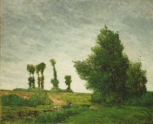 paisagem com choupos