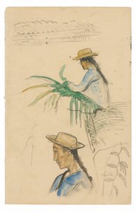 人物画、パンダナスの葉、バニラのスケッチ 作： Paul Gauguin
