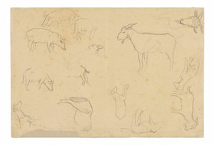 様々な動物と頭部のスケッチ（レクト）、頭部、横顔の人物、解剖学的詳細、動物のスケッチ（裏面） 作： Paul Gauguin
