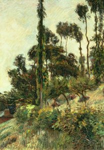 丘の側、1884 作： Paul Gauguin