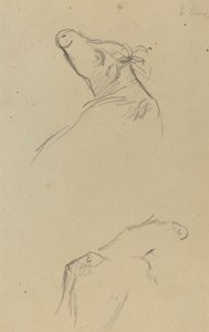 2 つの牛の頭 [裏面] 作： Paul Gauguin