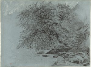 満開の野生のブナ 作： Paul Huet