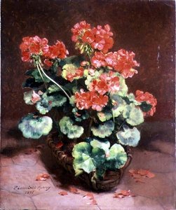 バスケットの花